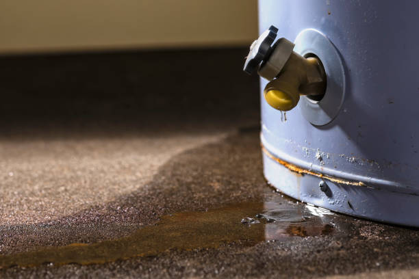 Best Sewage cleanup and water damage restoration  in Walbridge, OH