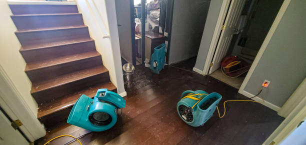  Walbridge, OH Water damage restoration Pros
