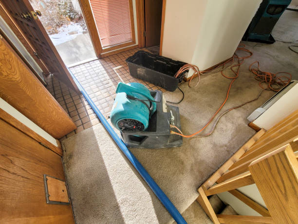 Best Water damage restoration experts  in Walbridge, OH