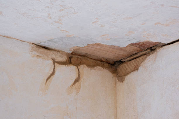 Best Water damage restoration cost  in Walbridge, OH