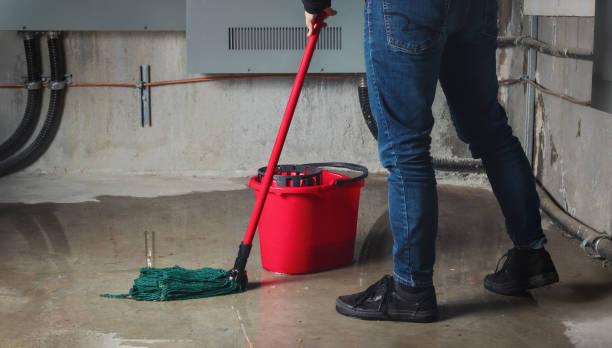 Best Water damage contractors near me  in Walbridge, OH
