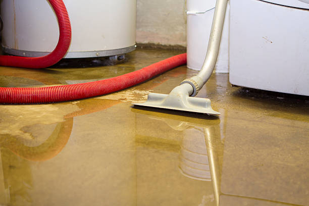 Best Fire Damage Restoration  in Walbridge, OH