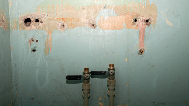 Best Flood restoration services  in Walbridge, OH