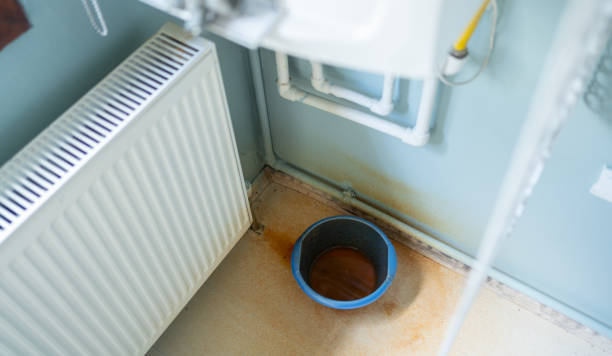 Best Flood damage cleanup  in Walbridge, OH