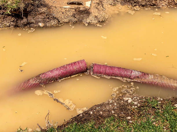 Best Flood damage cleanup  in Walbridge, OH